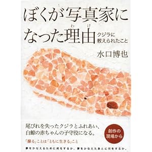 �ڂ����ʐ^�ƂɂȂ������R(�킯)�\�N�W���ɋ�����ꂽ���� (Sphere Books)