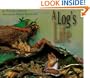 A Log's Life
