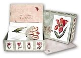 genus Tulipa -Box Set of 20 Assorted Greeting Cards and Patterned Envelopes