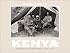 Kenya: A Country in the Making, 1880-1940