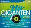 Die Hit Giganten-Best of One Hit Wonder