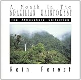 A Month In The Brazilian Rainforest: Rain Forest