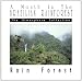 A Month In The Brazilian Rainforest: Rain Forest  from ADA Global