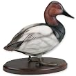 "Standing Drake Canvasback" Duck Sculpture
