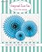 Party Partners Hanging Honeycomb Tissue Fan, Aqua, Set of 3
