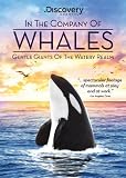 In the Company of Whales