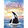 In the Company of Whales