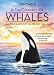 In the Company of Whales