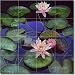 As Above So Below by Leslie Macon - Artwork On Tile Ceramic Mural 24 x 24 Kitchen Shower Backsplash