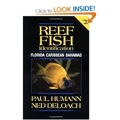 Reef Fish Identification