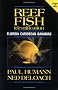 Reef Fish Identification: Florida Caribbean Bahamas (Reef Set)
