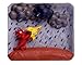 Van Aken Plastalina Modeling Clay 1 lb. bar magenta