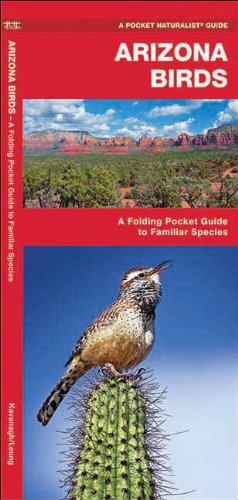 Arizona Birds: A Folding Pocket Guide to Familiar Species (Pocket Naturalist Guide Series)