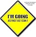 I'M GOING AS FAST AS I CAN ! Car Window Safety Sign, Car Safety Warning Sign, Baby on Board Style Bumper Sticker / Sign