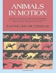 Animals in Motion