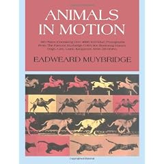 Animals in Motion