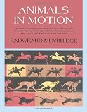 Animals in Motion