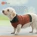 Seamless Knits for Posh Pups
