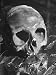 Cast of Jonathan Swift's Skull That Rests on Brass Plate on His Tomb in St. Patrick's...