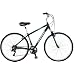 2007 Schwinn Voyageur GS Comfort Hybrid Bike Small Green