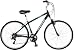 2007 Schwinn Voyageur GS Comfort Hybrid Bike Small Green