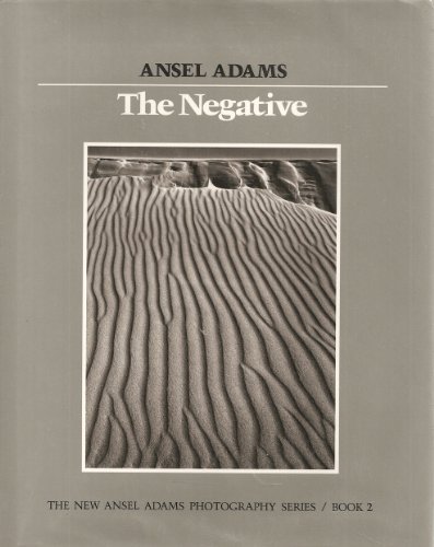 The Negative (The New Book 2)