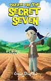 Puzzle for the Secret Seven