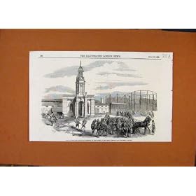 Mayore ��̕ۈ����͒����K�X�̏���� C1853 ��K�₵�܂�
