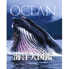 【クリックで詳細表示】海洋大図鑑-OCEAN- (DKブックシリーズ) [単行本]