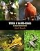 Image of Wildlife of the Mid-Atlantic: A Complete Reference Manual