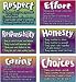 POSTER PK CHARACTER TRAITS 6/PK