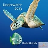 Under Water 2013