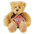 Aroma Home Warm & Cosy Microwaveable Bear Hug