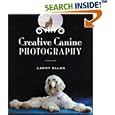 Creative Canine Photography