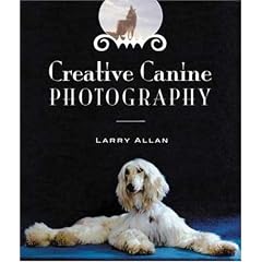 Creative Canine Photography