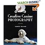 Creative Canine Photography