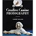 Creative Canine Photography