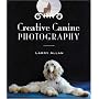 Creative Canine Photography