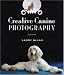 Creative Canine Photography