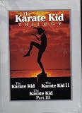 THE KARATE KID TRILOGY----PTS 1,2, AND 3 !---DVD SET