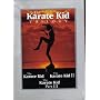 THE KARATE KID TRILOGY----PTS 1,2, AND 3 !---DVD SET