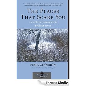 The Places That Scare You: A Guide to Fearlessness in Difficult Times (Shambhala Classics)