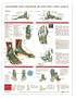 Anatomy and Injuries of the Foot and Ankle Chart Laminated