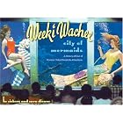 Click here to buy Weeki Wachee, City of Mermaids: A History of One of Florida's Oldest Roadside Attractions (Florida History and Culture)... by Lu Vickers.