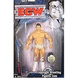 Review Jakks  / WWE ECW series 3 MATT STRIKER Wrestling Figure