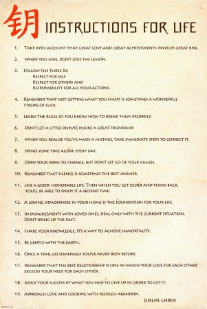 Instructions For Life Dalai Lama 24-by-36-Inch Art Poster Print