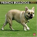 French Bulldogs 2011 Square 12X12 Wall Calendar