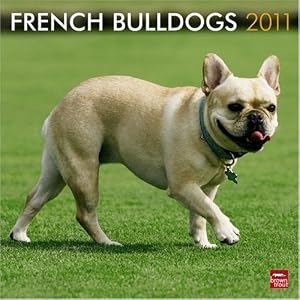 French Bulldogs 2011 Square 12X12 Wall Calendar by BrownTrout Publishers Inc