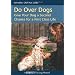 Do Over Dogs - A Second Chance at a First Class Life
