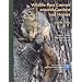 Wildlife Pest Control Around Gardens And Homes